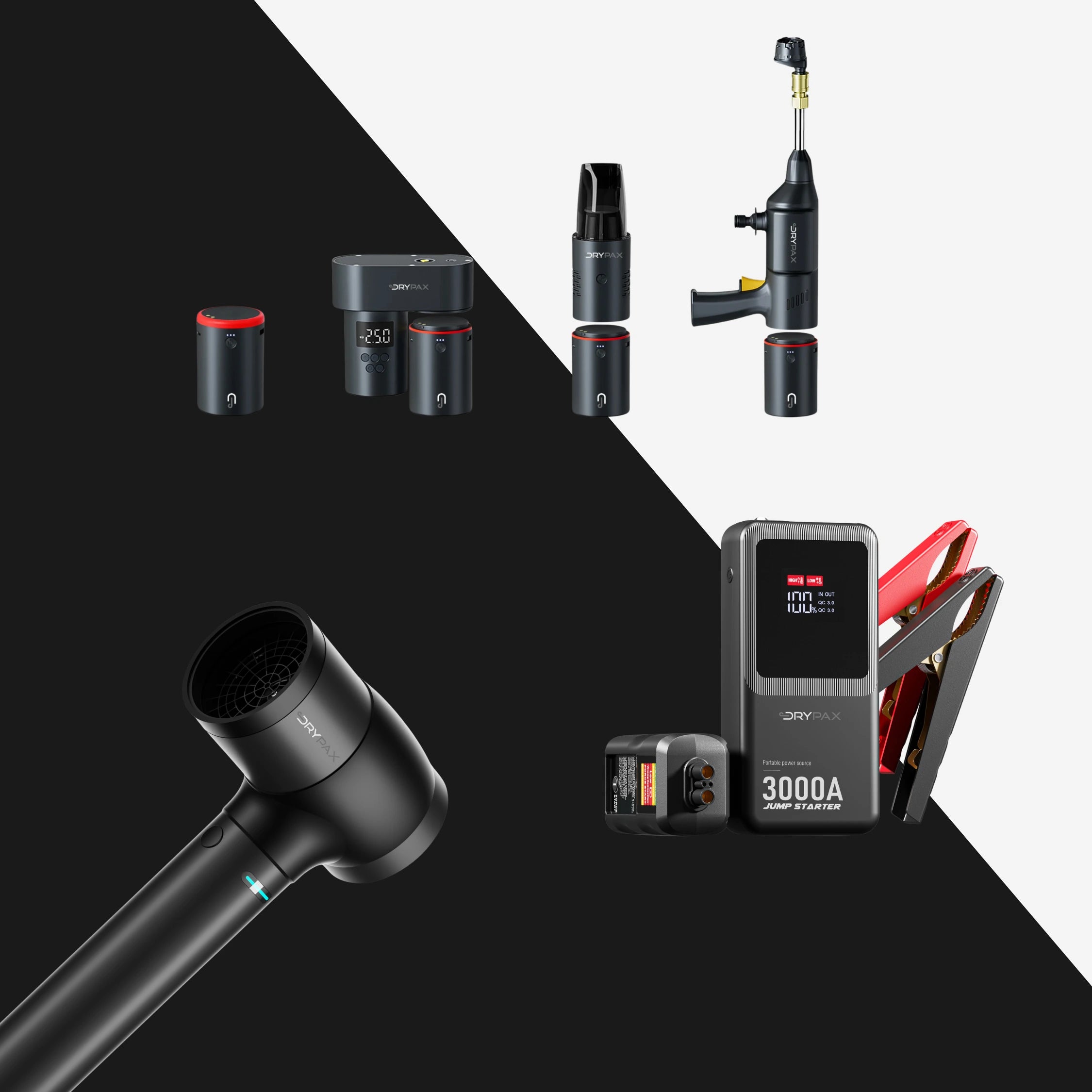 Das Orginal von Drypax